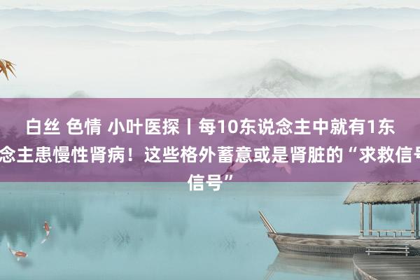 白丝 色情 小叶医探丨每10东说念主中就有1东说念主患慢性肾病！这些格外蓄意或是肾脏的“求救信号”