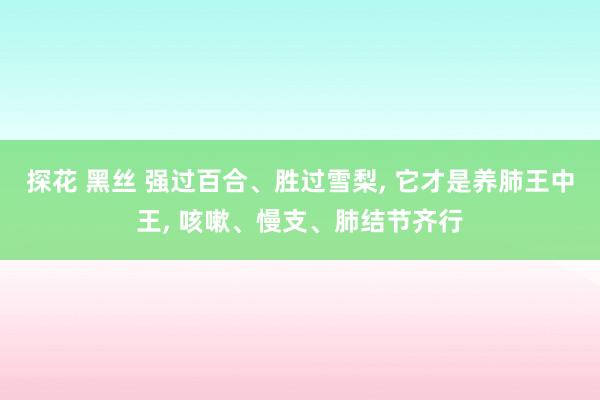 探花 黑丝 强过百合、胜过雪梨， 它才是养肺王中王， 咳嗽、慢支、肺结节齐行