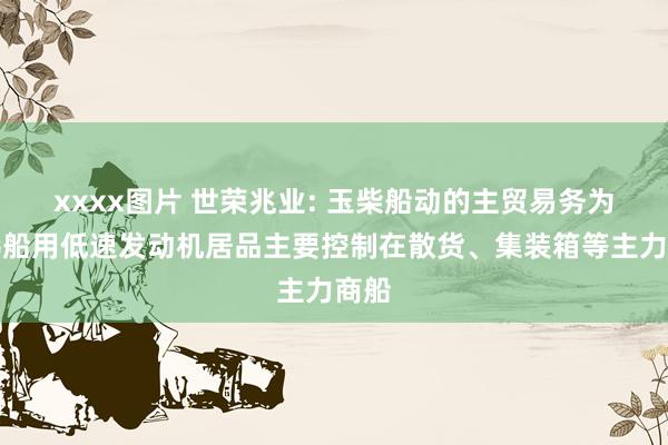 xxxx图片 世荣兆业: 玉柴船动的主贸易务为坐褥船用低速发动机居品主要控制在散货、集装箱等主力商船