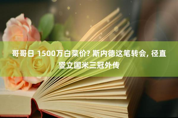 哥哥日 1500万白菜价? 斯内德这笔转会， 径直竖立国米三冠外传
