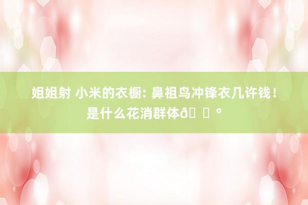 姐姐射 小米的衣橱: 鼻祖鸟冲锋衣几许钱！是什么花消群体😰