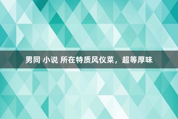 男同 小说 所在特质风仪菜，超等厚味