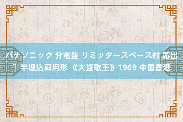 パナソニック 分電盤 リミッタースペース付 露出・半埋込両用形 《大盗歌王》1969 中国香港