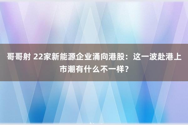 哥哥射 22家新能源企业涌向港股：这一波赴港上市潮有什么不一样？