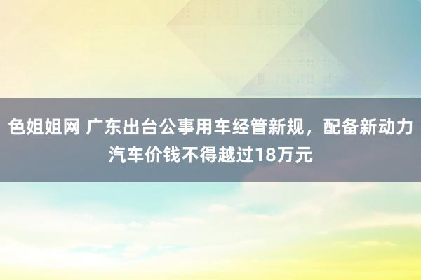 色姐姐网 广东出台公事用车经管新规，配备新动力汽车价钱不得越过18万元